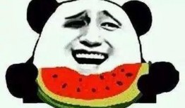 娱乐吃瓜酱治愈,治愈心灵的甜蜜调味品